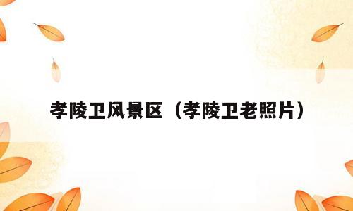 孝陵卫风景区（孝陵卫老照片）