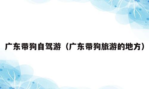 广东带狗自驾游（广东带狗旅游的地方）