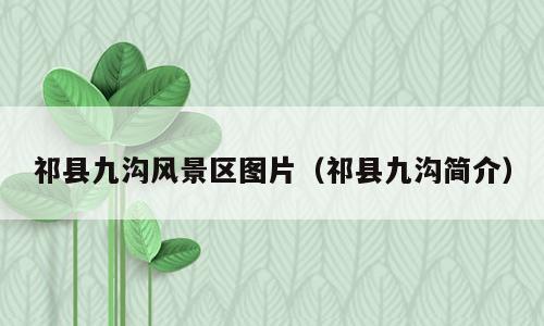 祁县九沟风景区图片（祁县九沟简介）