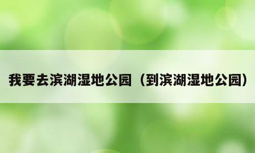 我要去滨湖湿地公园（到滨湖湿地公园）
