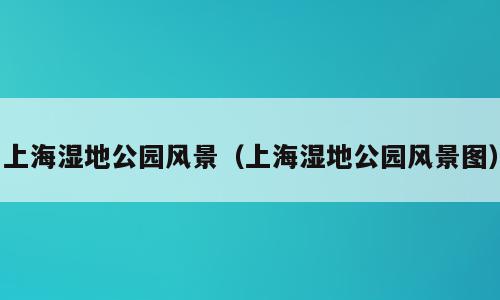 上海湿地公园风景（上海湿地公园风景图）