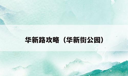 华新路攻略（华新街公园）