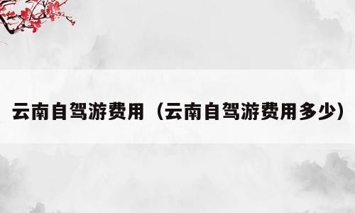 云南自驾游费用（云南自驾游费用多少）