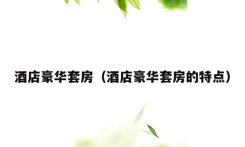 酒店豪华套房（酒店豪华套房的特点）