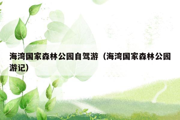 海湾国家森林公园自驾游（海湾国家森林公园游记）