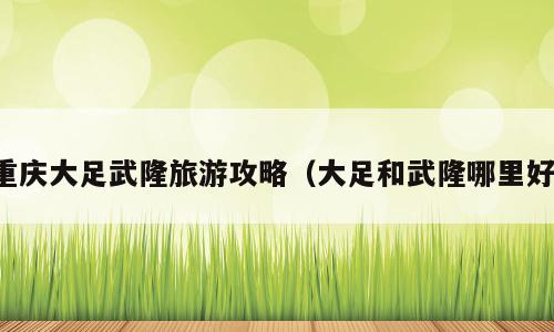 重庆大足武隆旅游攻略（大足和武隆哪里好）